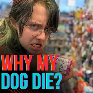 Why My Dog Die?