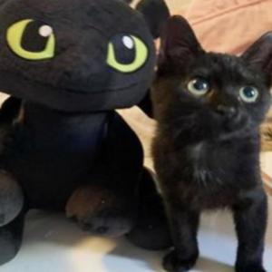 OUTTA LXCK (feat. m relix) (Explicit)