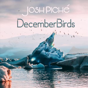 December Birds