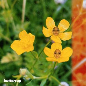 buttercup