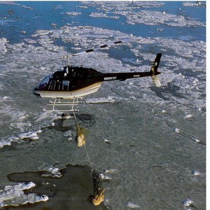 I Have Nothing-Various Artists
