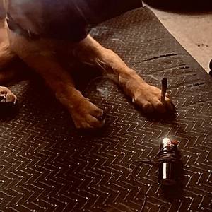 Time To Think(Freestyle) (Explicit)