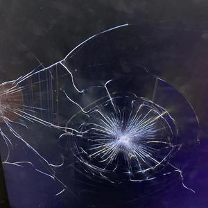 the revolution will be live streamed (Live)