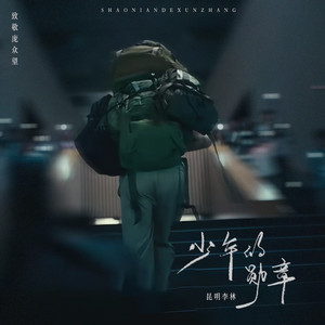 少年的勋章-空城音乐&李林