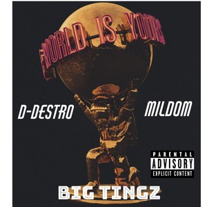 Big Tingz(feat. Mildom) (Explicit)