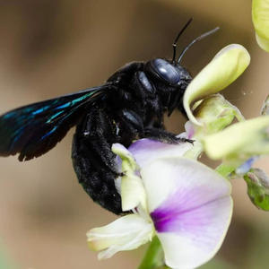 World of Loss (Explicit)