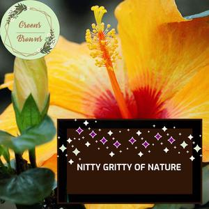 Nitty Gritty of Nature