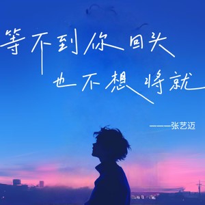 等不到你回头也不想将就封面