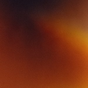 cat can do - Unspoken Words