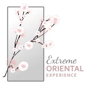 Extreme Oriental Experience (Traditional Chinese & Japanese Music with Nature, Relaxation & Meditati