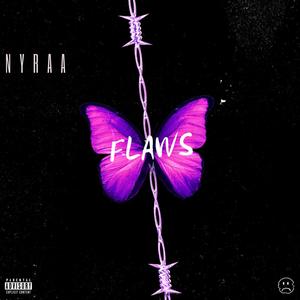 Flaws (Explicit)