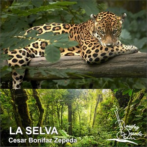 La Selva