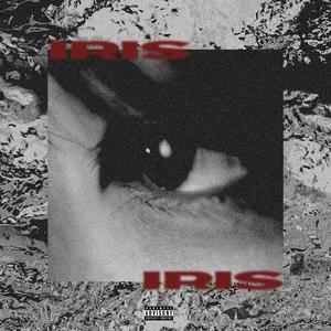 Iris (feat. Vulture Beatz) [Explicit]