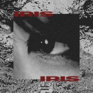 Iris (feat. Vulture Beatz) (Explicit)