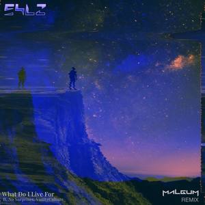 What Do I Live For (Malgum Remix)