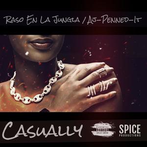 Casually (feat. Aj-Penned-It) (Explicit)