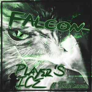 Falcon (feat. True1nuera)