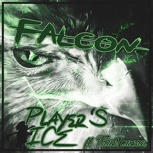 Falcon(feat. True1nuera)