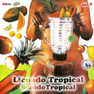 Licuado Tropical Vol. 2. Música de Guatemala para los Latinos