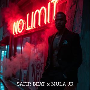 No Limit (feat. Mula Jr)