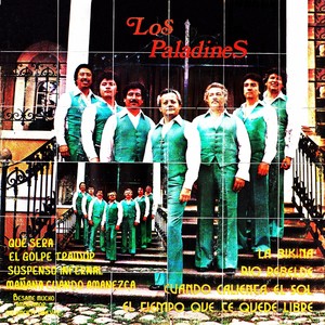 Los paladines