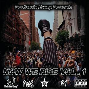 Pro Music Group Presents Now We Rise, Vol. 1 (Explicit)