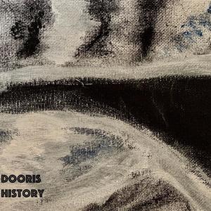 Dooris - History