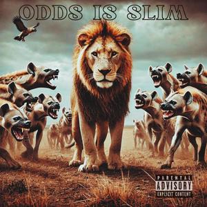 Odds Is Slim (Explicit)