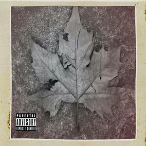 The Leaf (Explicit)