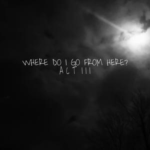 WhereDoIGoFromHere: Act III (Explicit)