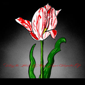 Classic (feat. MiGA) (Explicit)