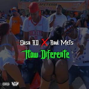 Flow Diferente (feat. Raul Mets)