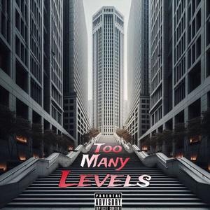 Too Many Levelz (Explicit)