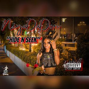 Hide N Seek (Explicit)