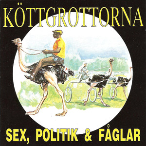 Sex Politik & Fåglar