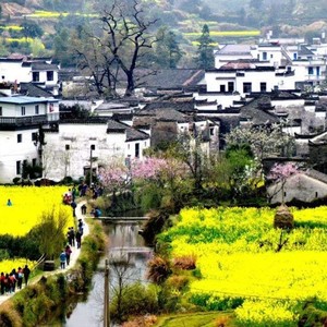 深圳市婺源商会会歌