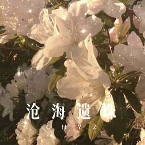 沧海遗珠 (Remix)