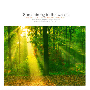 숲 속에 비추는 햇살 (Sunshine in the forest)