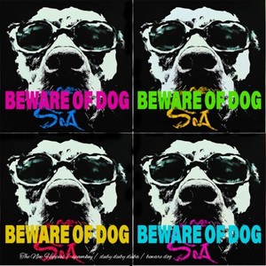 BEWARE OF DOG