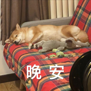 Shall We Talk-Jesse Lee