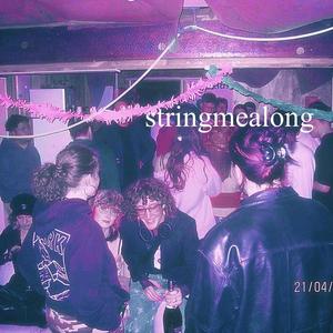 stringmealong (feat. shxrda)