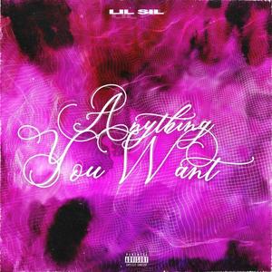 Anything You Want (Explicit)