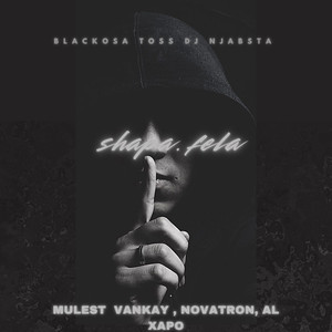 Shapa Fela (feat. Mulest Vankay, Novatron & Al Xapo)
