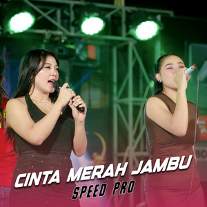 Cinta Merah Jambu