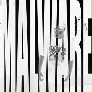 TAYLORSWIFT (feat. Aztrøkid) (Explicit)