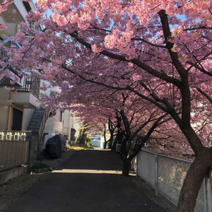 楚汉霸王进行曲 (PHONK)