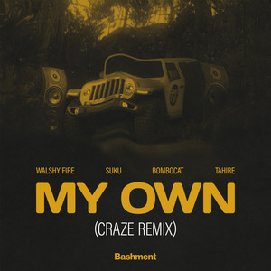 My Own (Craze Remix) [Explicit]