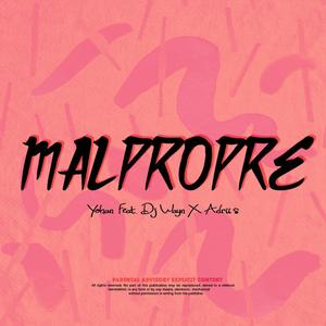 Malpropre (feat. Dj Wayn & ADRII S) (Explicit)