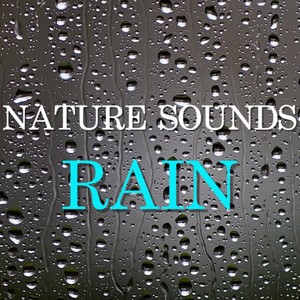 Nature Sounds Rain