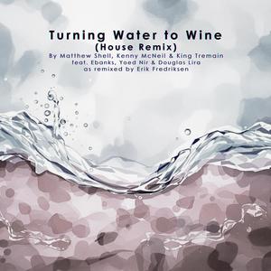 Turning Water to Wine (feat. Ebanks, Yoed Nir, Douglas Lira & Erik Fredriksen) (House Remix)